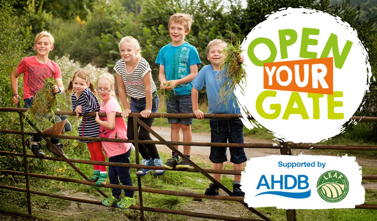 Children standing on a farm gate with the Open Your Gate logo superimposed.
